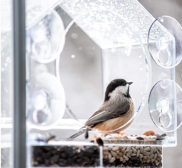 Clear View Bird Feeder