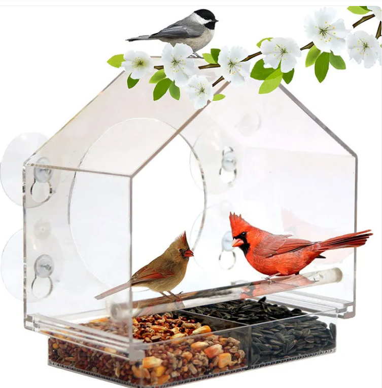 Clear View Bird Feeder