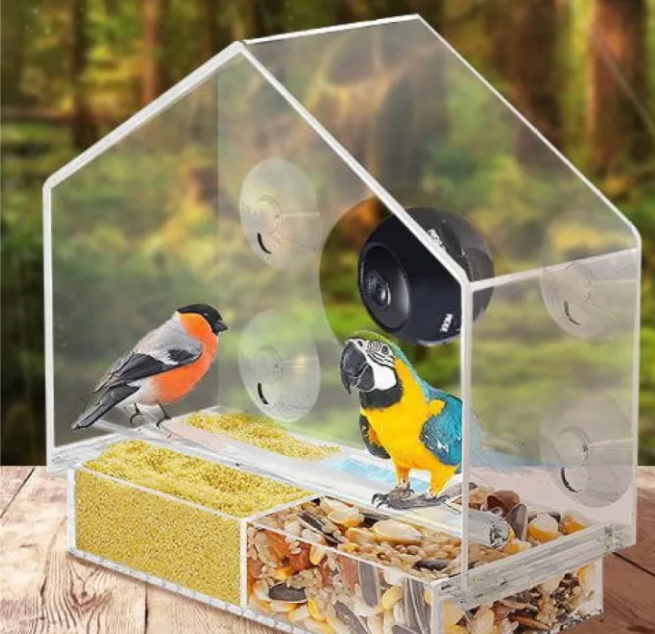 Clear View Bird Feeder