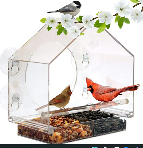 Clear View Bird Feeder