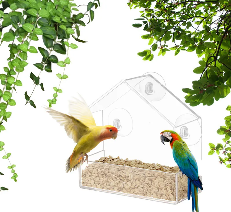 Clear View Bird Feeder
